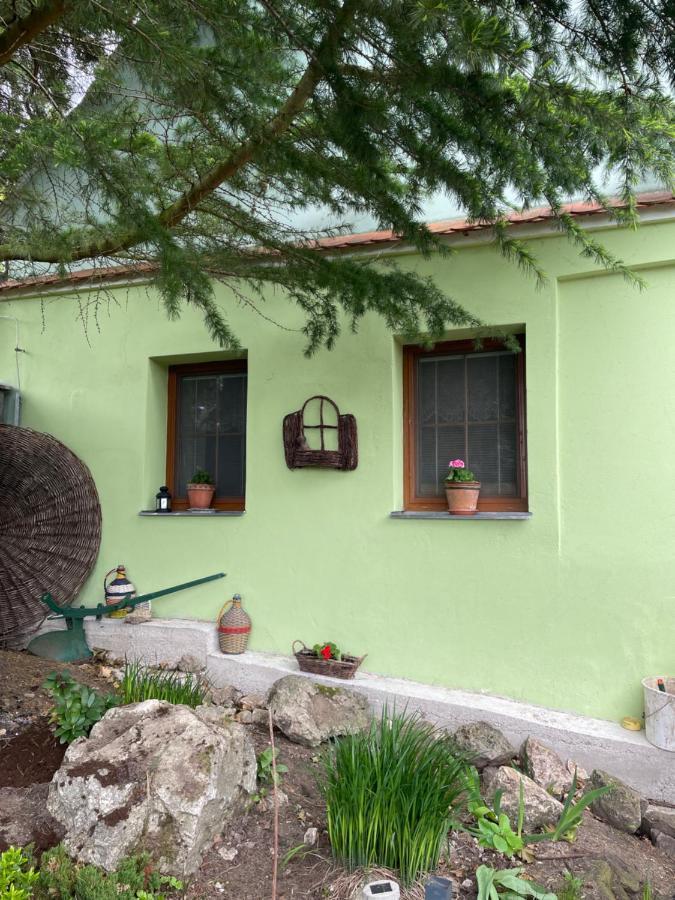 Hotel Na úpatí Pálavy Horni Vestonice Exterior foto